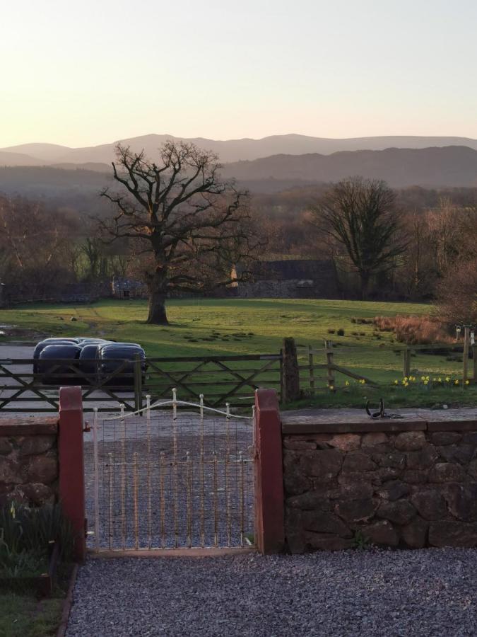 Rainors Farm B&B Gosforth  Экстерьер фото