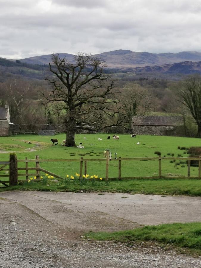 Rainors Farm B&B Gosforth  Экстерьер фото