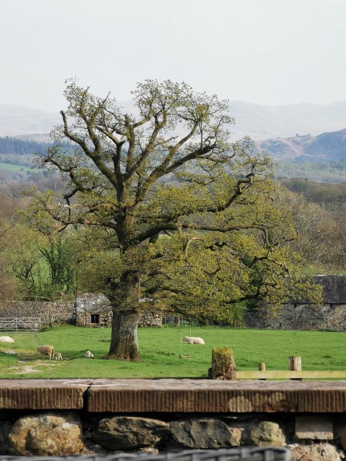 Rainors Farm B&B Gosforth  Экстерьер фото